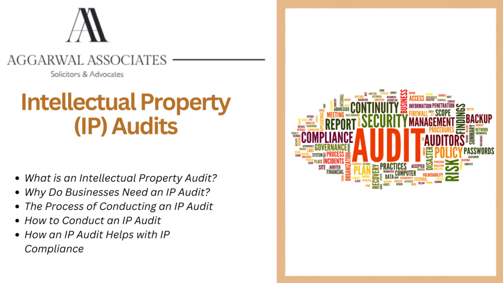 Intellectual Property Audits